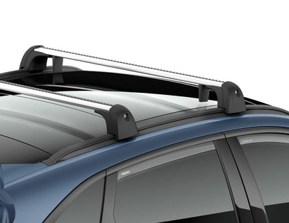 Kuga Verbrenner: Innenraumschutz inkl. Atera* Dachbox